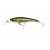 51808027-
			№27<br>Rainbow Trout